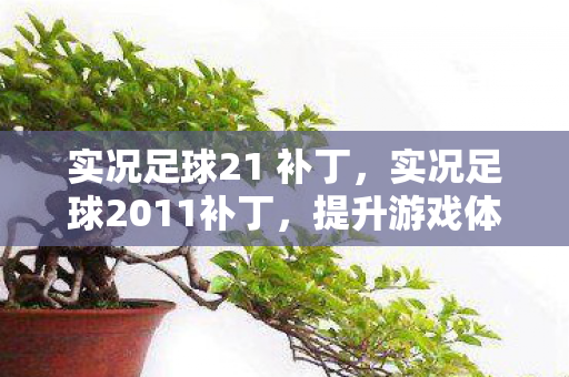 实况足球21 补丁，实况足球2011补丁，提升游戏体验的必备利器