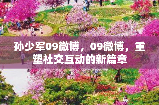 孙少军09微博，09微博，重塑社交互动的新篇章