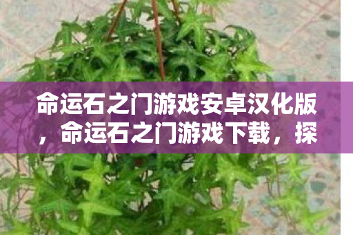 命运石之门游戏安卓汉化版，命运石之门游戏下载，探索时间旅行的奇妙之旅