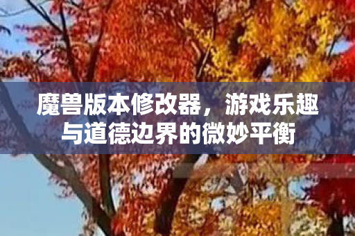 魔兽版本修改器，游戏乐趣与道德边界的微妙平衡