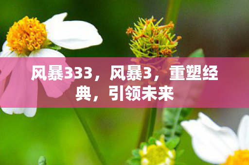 风暴333，风暴3，重塑经典，引领未来
