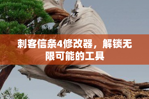 刺客信条4修改器,解锁无限可能的工具 刺客信条4修改器,解锁无限可能的工具