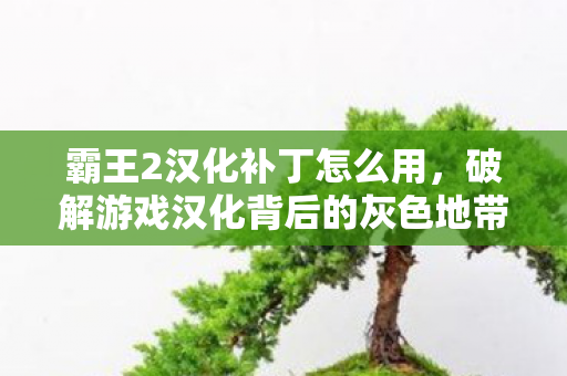 霸王2汉化补丁怎么用，破解游戏汉化背后的灰色地带，以霸王2汉化补丁为例
