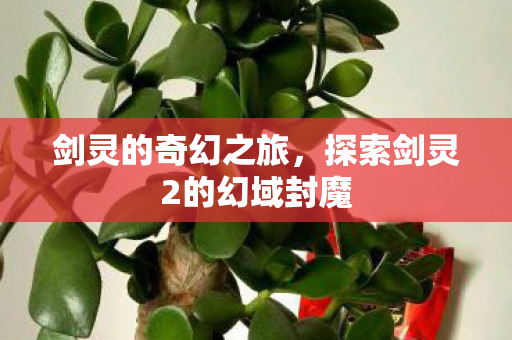 剑灵的奇幻之旅，探索剑灵2的幻域封魔