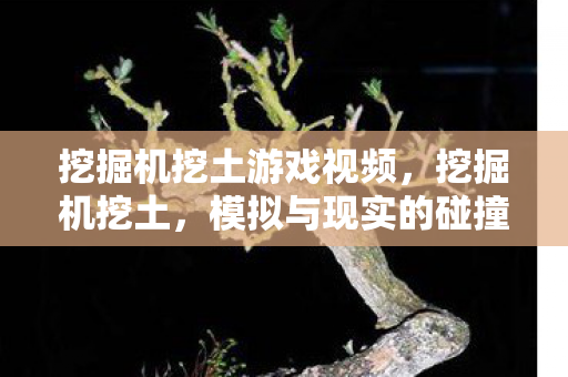 挖掘机挖土游戏视频，挖掘机挖土，模拟与现实的碰撞