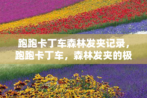 跑跑卡丁车森林发夹记录，跑跑卡丁车，森林发夹的极速挑战