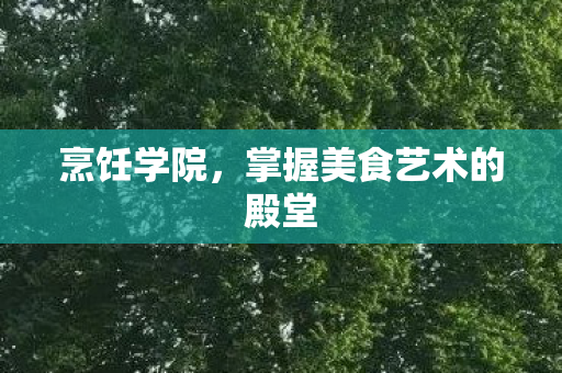 烹饪学院，掌握美食艺术的殿堂