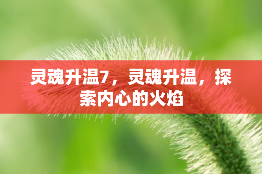 灵魂升温7，灵魂升温，探索内心的火焰
