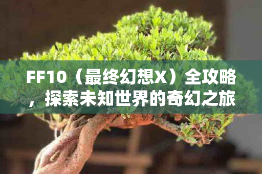 FF10（最终幻想X）全攻略，探索未知世界的奇幻之旅