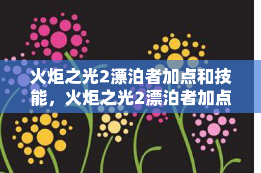火炬之光2漂泊者加点和技能，火炬之光2漂泊者加点攻略，打造最强漂泊者