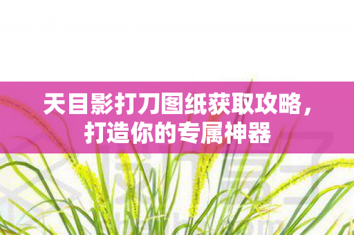 天目影打刀图纸获取攻略，打造你的专属神器