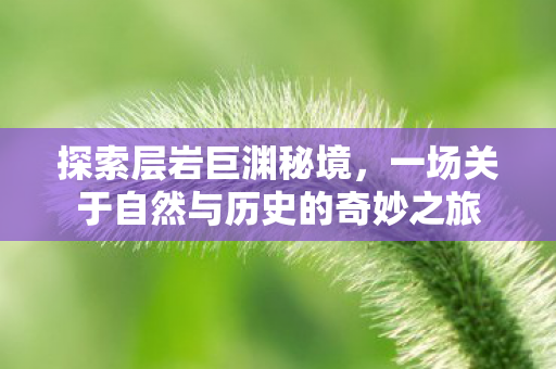 探索层岩巨渊秘境，一场关于自然与历史的奇妙之旅