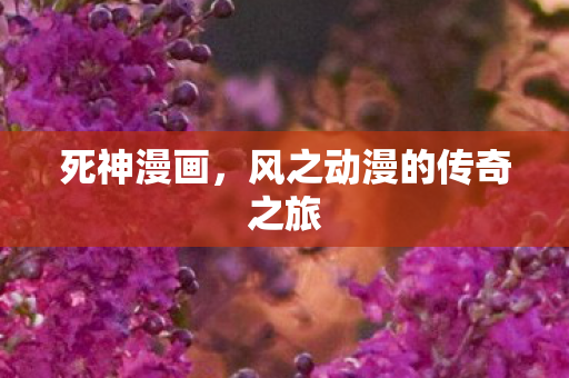 死神漫画，风之动漫的传奇之旅