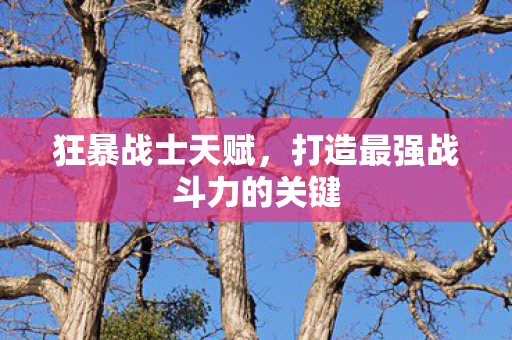 狂暴战士天赋，打造最强战斗力的关键