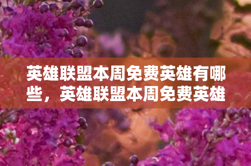 英雄联盟本周免费英雄有哪些,英雄联盟本周免费英雄,解锁你的战斗之旅 英雄联盟本周免费英雄有哪些,英雄联盟本周免费英雄,解锁你的战斗之旅