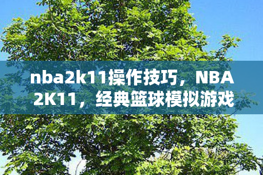nba2k11操作技巧,NBA 2K11,经典篮球模拟游戏的操作指南 nba2k11操作技巧,NBA 2K11,经典篮球模拟游戏的操作指南