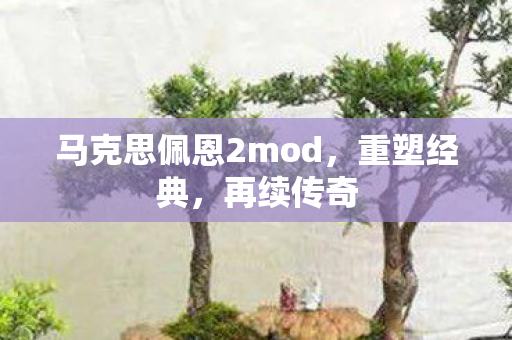 马克思佩恩2mod，重塑经典，再续传奇