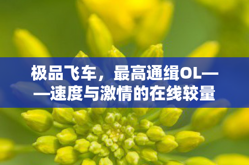 极品飞车，最高通缉OL——速度与激情的在线较量