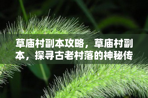 草庙村副本攻略，草庙村副本，探寻古老村落的神秘传说