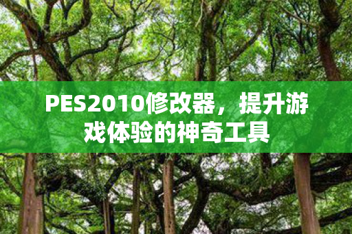 PES2010修改器，提升游戏体验的神奇工具