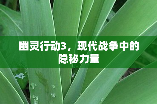 幽灵行动3，现代战争中的隐秘力量