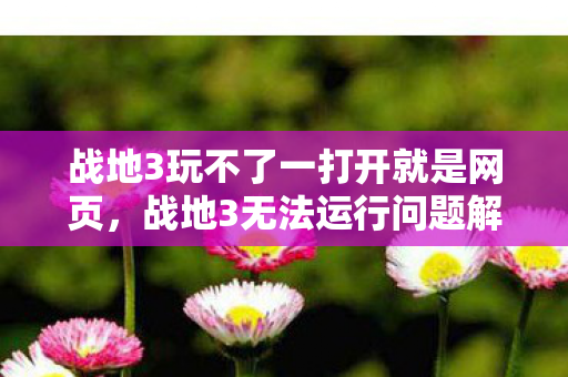 战地3玩不了一打开就是网页，战地3无法运行问题解决方案