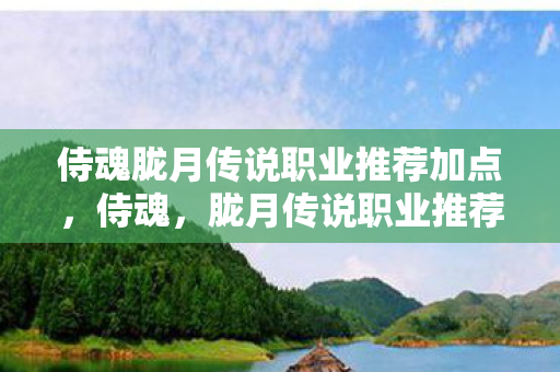 侍魂胧月传说职业推荐加点，侍魂，胧月传说职业推荐