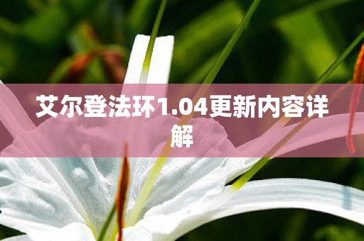 艾尔登法环1.04更新内容详解