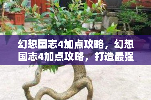 幻想国志4加点攻略，幻想国志4加点攻略，打造最强角色，征服幻想世界