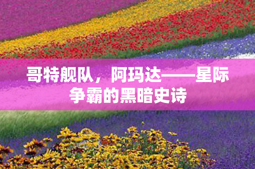 哥特舰队，阿玛达——星际争霸的黑暗史诗