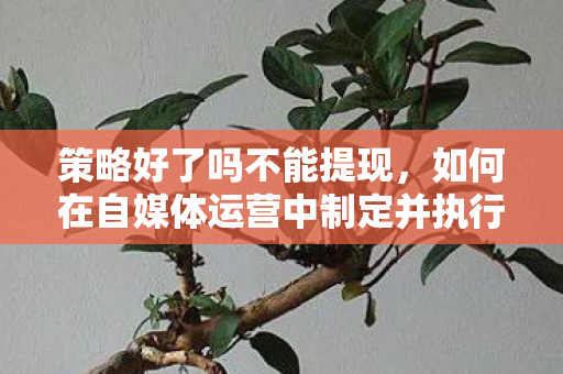 策略好了吗不能提现，如何在自媒体运营中制定并执行高效策略？