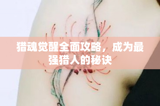 猎魂觉醒全面攻略，成为最强猎人的秘诀