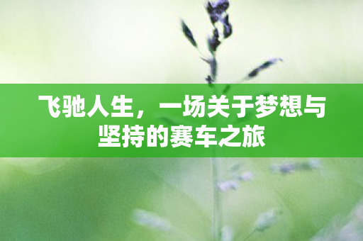 飞驰人生，一场关于梦想与坚持的赛车之旅