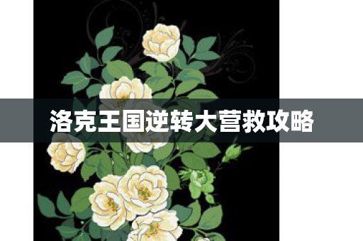 洛克王国逆转大营救攻略