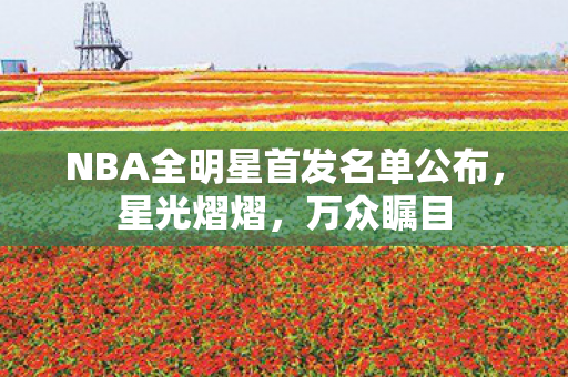 NBA全明星首发名单公布，星光熠熠，万众瞩目