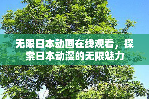 无限日本动画在线观看，探索日本动漫的无限魅力