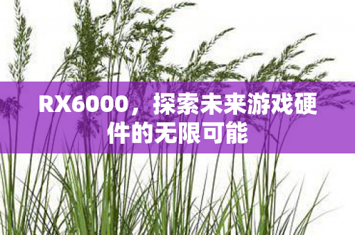 RX6000，探索未来游戏硬件的无限可能