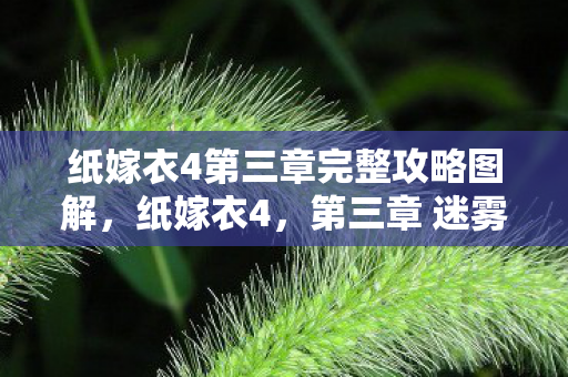 纸嫁衣4第三章完整攻略图解，纸嫁衣4，第三章 迷雾重重