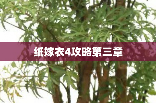 纸嫁衣4攻略第三章