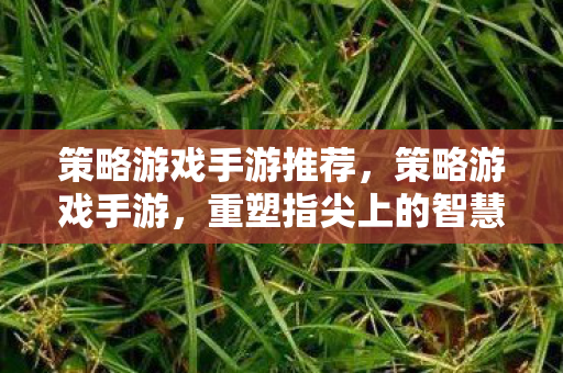 策略游戏手游推荐，策略游戏手游，重塑指尖上的智慧战场