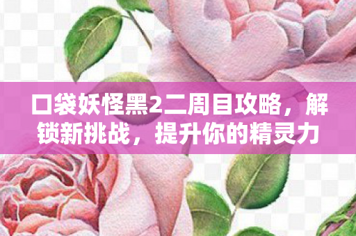 口袋妖怪黑2二周目攻略，解锁新挑战，提升你的精灵力量