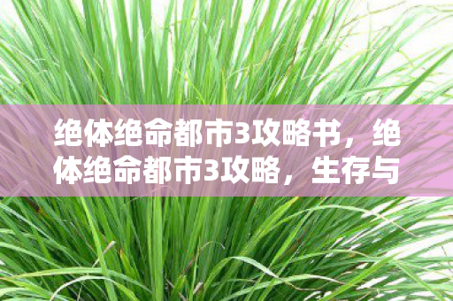 绝体绝命都市3攻略书，绝体绝命都市3攻略，生存与探索的终极指南