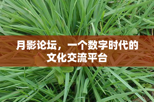 月影论坛，一个数字时代的文化交流平台