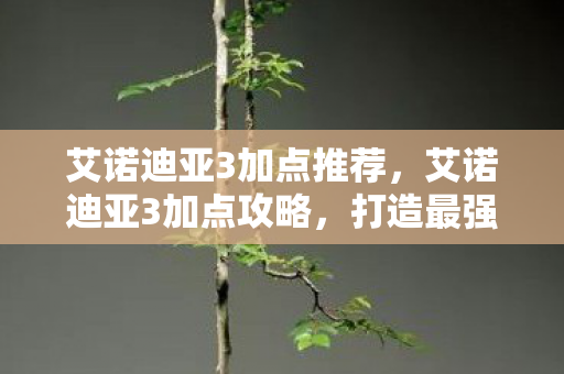 艾诺迪亚3加点推荐，艾诺迪亚3加点攻略，打造最强角色