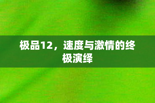 极品12，速度与激情的终极演绎