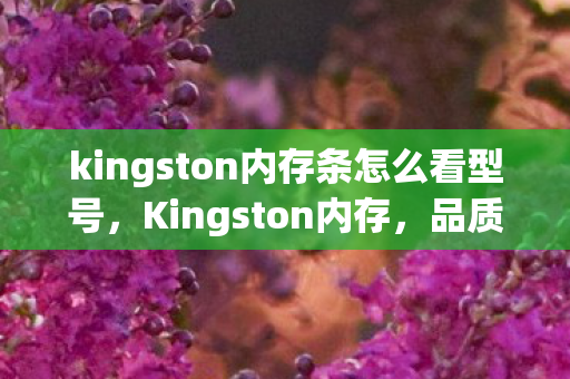 kingston内存条怎么看型号,Kingston内存,品质与性能的完美结合 kingston内存条怎么看型号,Kingston内存,品质与性能的完美结合