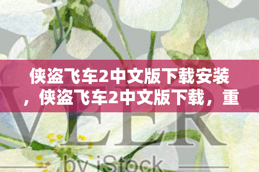 侠盗飞车2中文版下载安装，侠盗飞车2中文版下载，重温经典，再续传奇