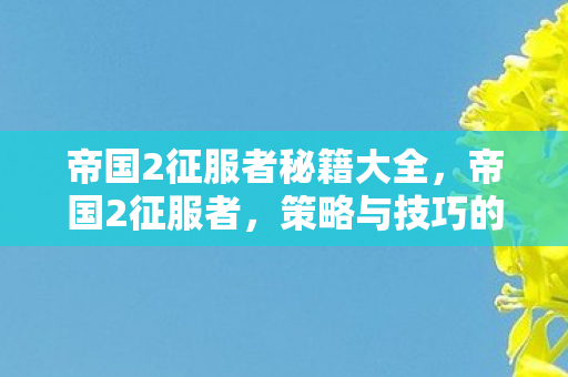 帝国2征服者秘籍大全，帝国2征服者，策略与技巧的全面指南