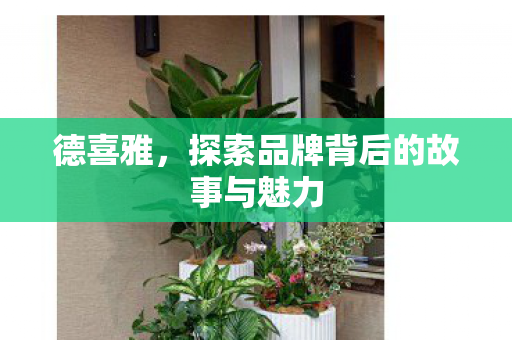 德喜雅，探索品牌背后的故事与魅力