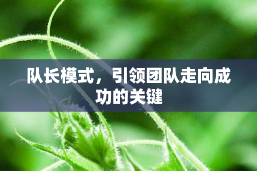 队长模式，引领团队走向成功的关键